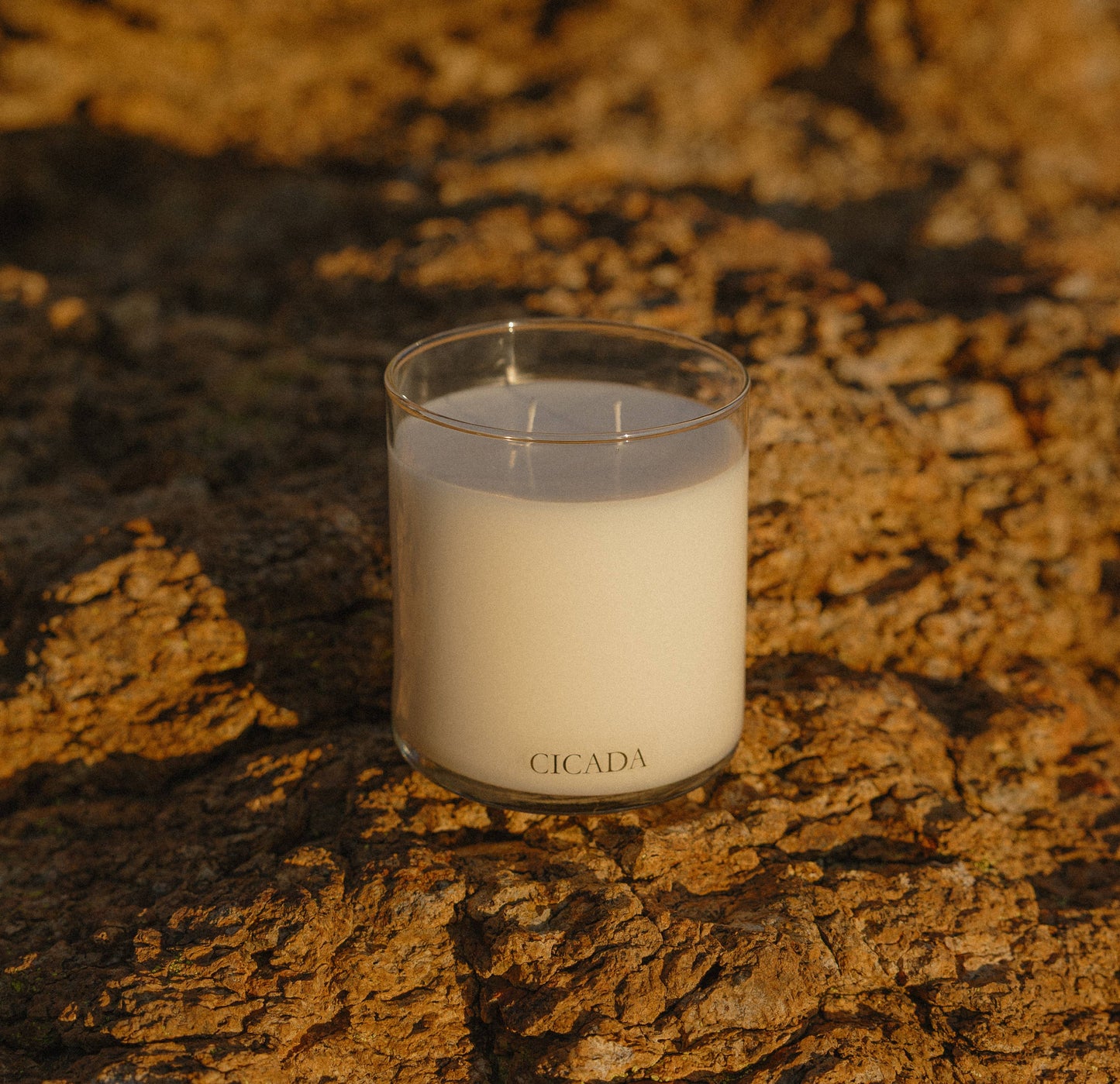 No. 10 Large Candle - plateau
