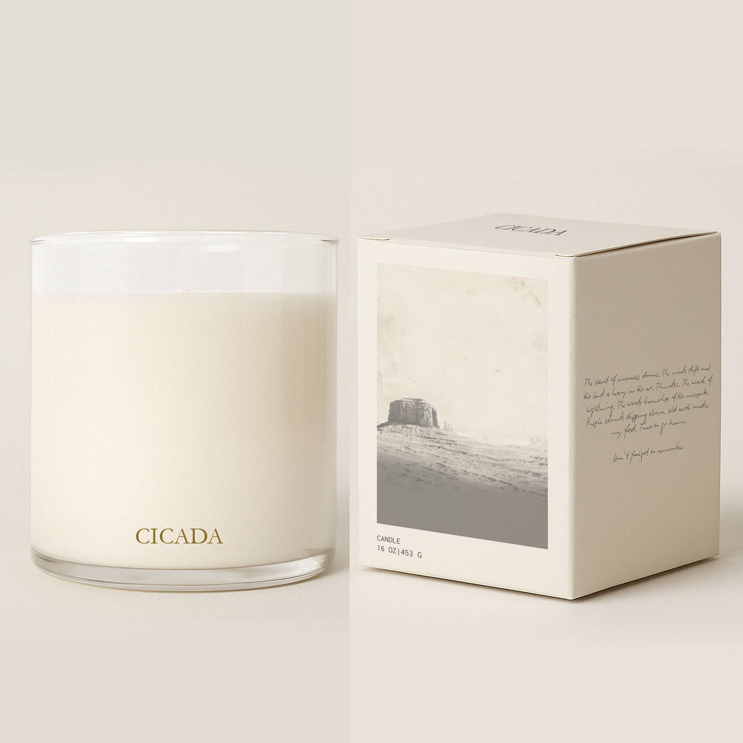 No. 10 Large Candle - plateau