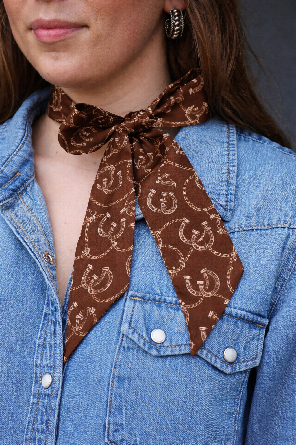 Brown Horseshoe & Rope Silk Twilly