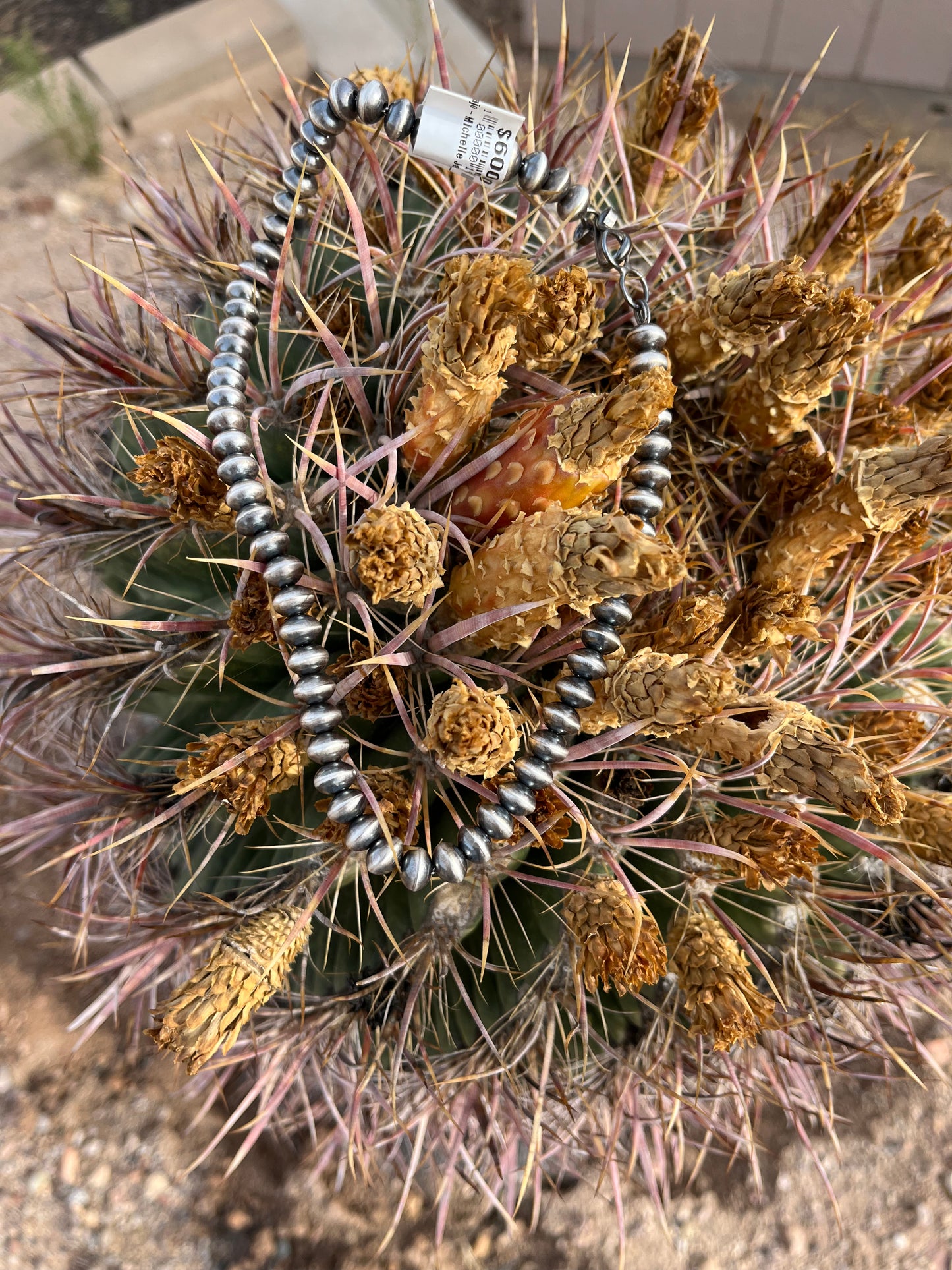 Navajo Saucer bead Necklace.