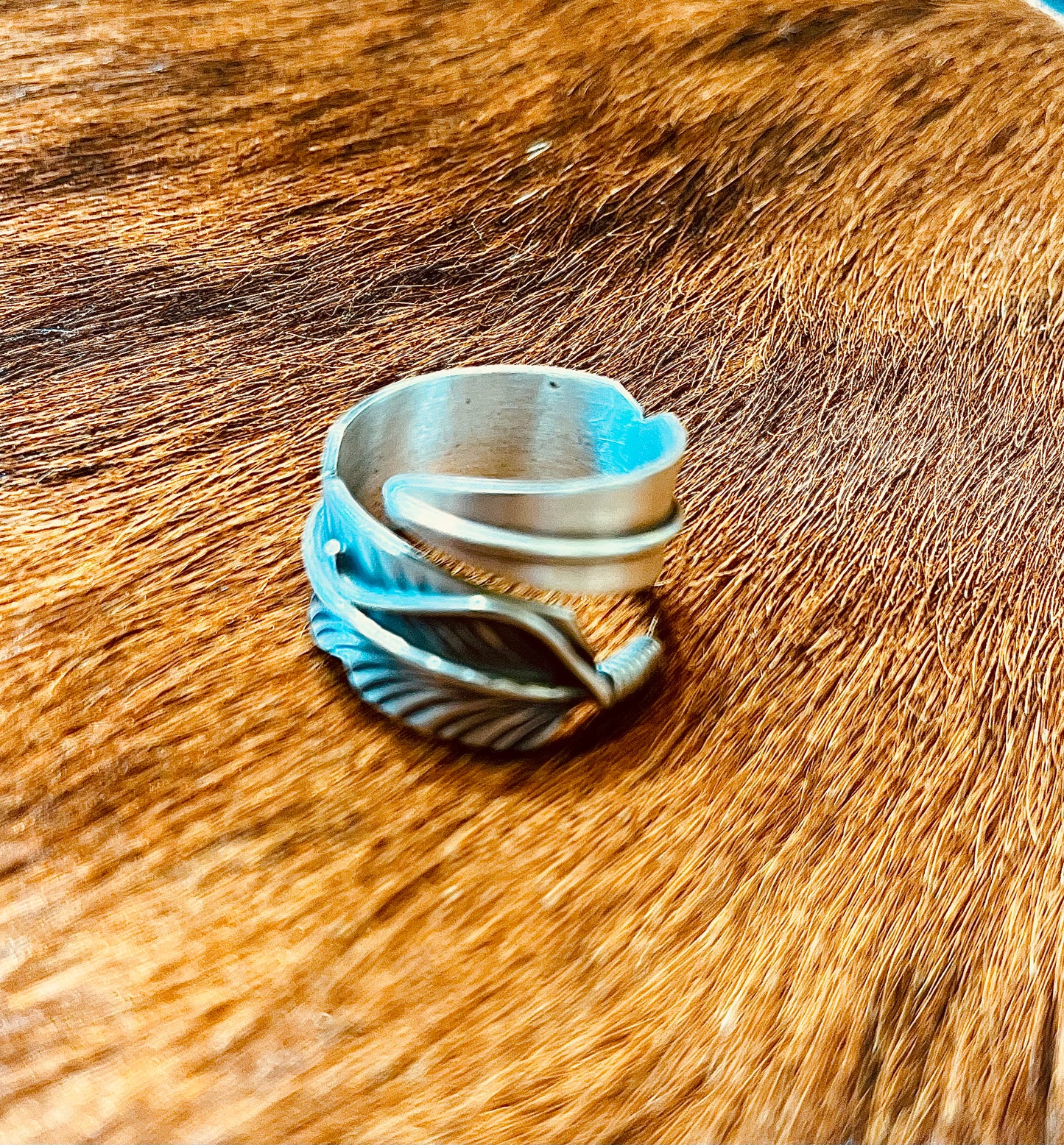 THE BRISTOL RING