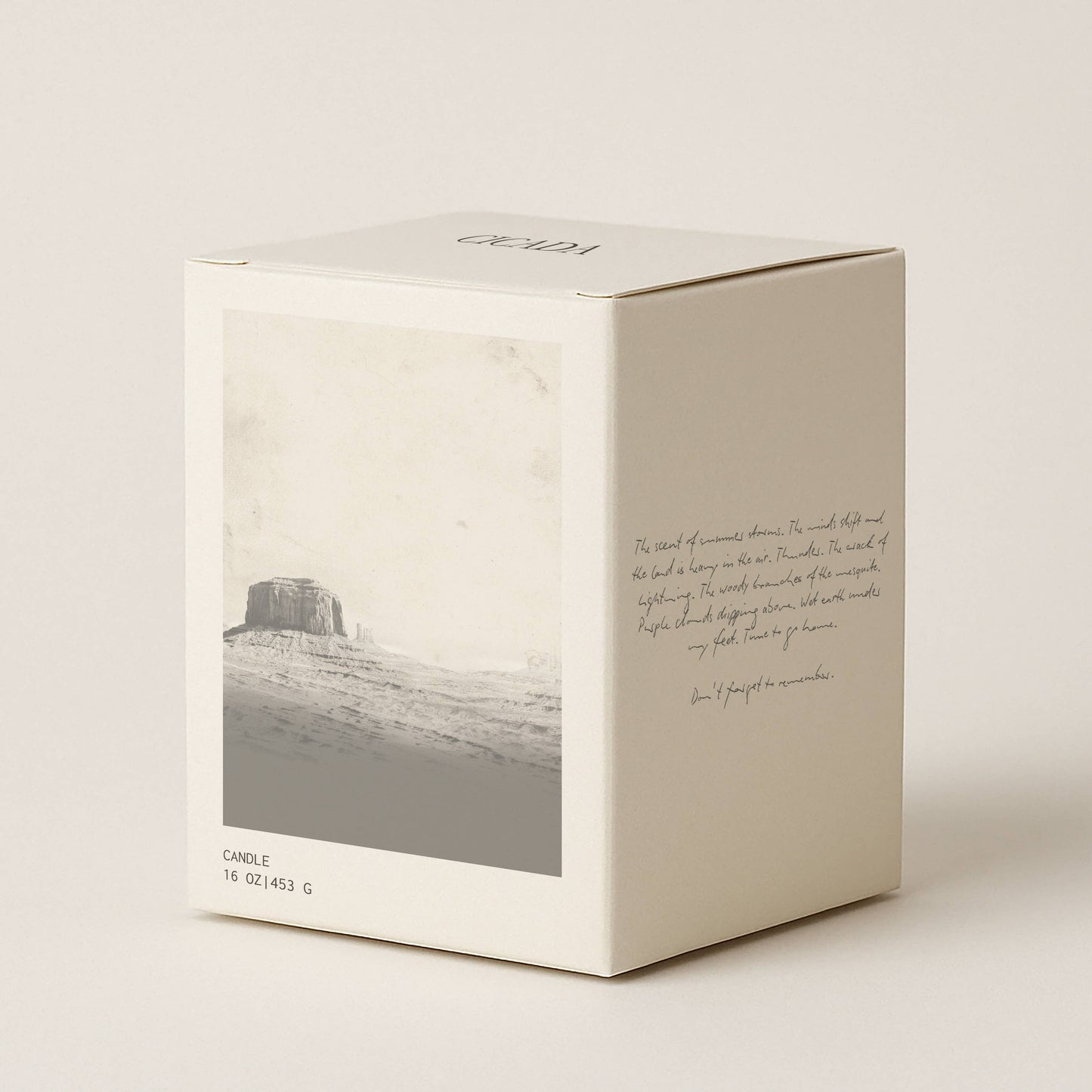 No. 10 Large Candle - plateau