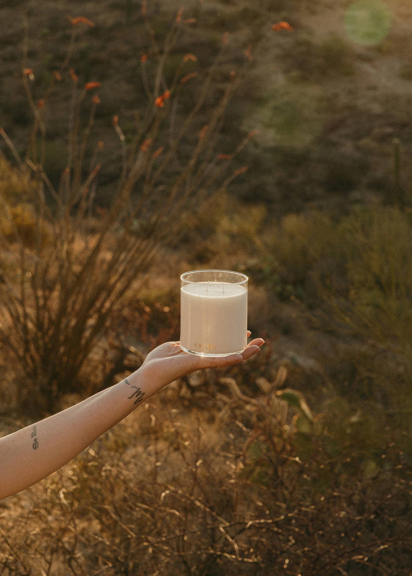 No. 10 Large Candle - plateau