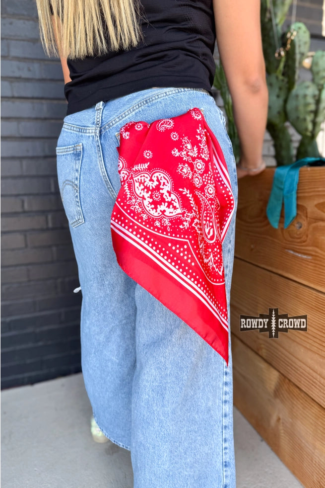 THE VAQUERO WILD RAG